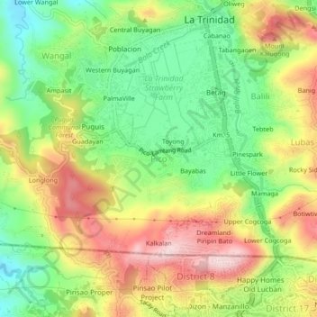 Mapa topográfico Pico, altitud, relieve