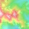 Mapa topográfico Silver Peak, altitud, relieve