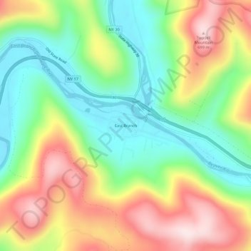 Mapa topográfico East Branch, altitud, relieve