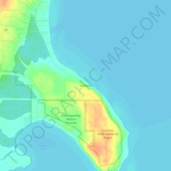 Mapa topográfico Elmhurst, altitud, relieve