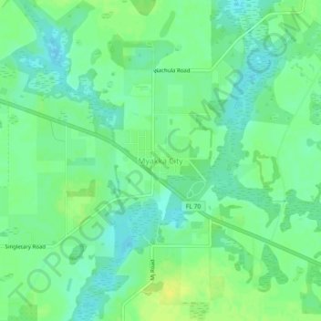 Mapa topográfico Myakka City, altitud, relieve