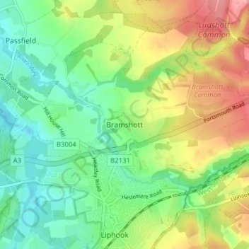 Mapa topográfico Bramshott, altitud, relieve