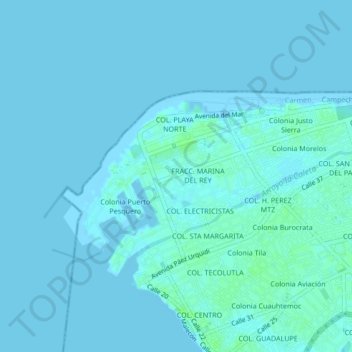 Mapa topográfico Colonia Revolucion, altitud, relieve