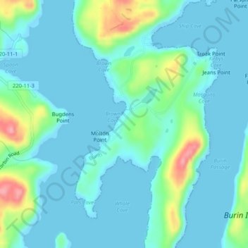 Mapa topográfico Burin Bay, altitud, relieve