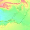 Mapa topográfico M'Hamid El Ghizlane ⵎⵃⴰⵎⵉⴷ ⵍⵖⵯⵣⵍⴰⵏ امحاميد الغزلان, altitud, relieve